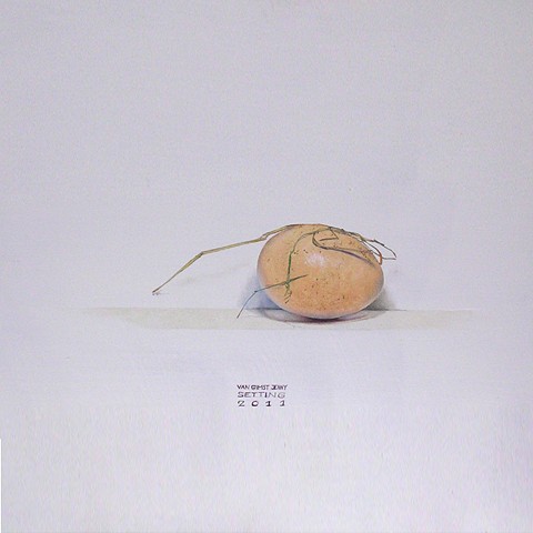 egg white small jenny van gimst contemporary realism still life
