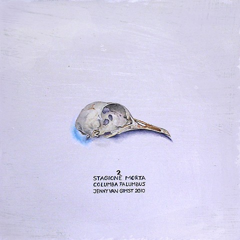 white skull small jenny van gimst contemporary realism still life