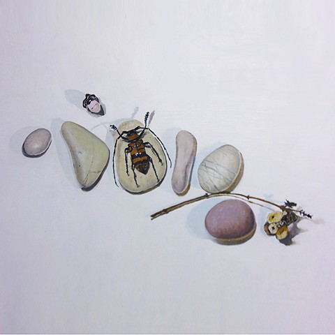 insects jenny van gimst contemporary realism 
