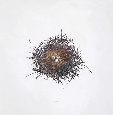 nest wood twigs contemporary painter jenny van gimst stillife