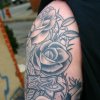 cross 1997, roses 2002