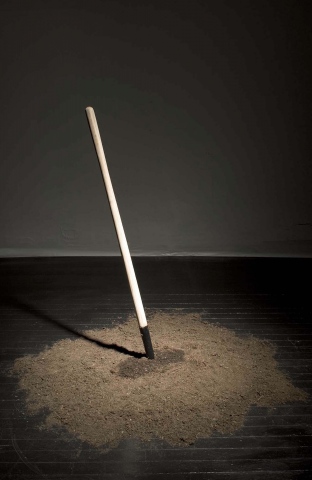 The North American Ostrich