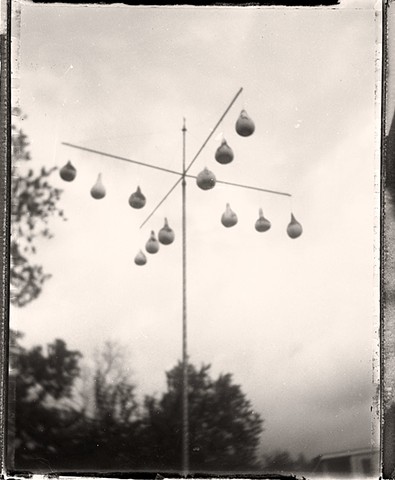 Gourd Tree, GA