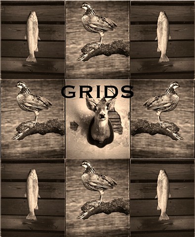 GRIDS