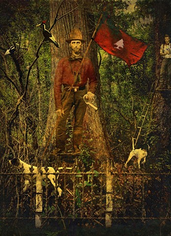 Last Sanctuary of the Ghost Bird
