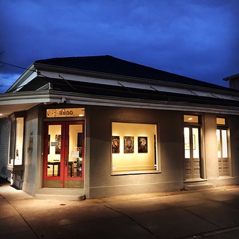 Cole Pratt Gallery opening 