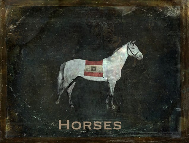 Horses