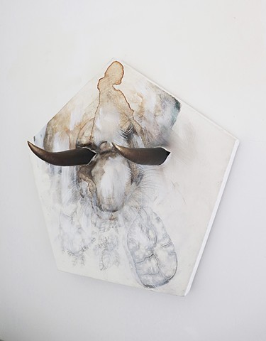 Trophy (Bulls) detail 1