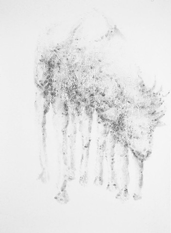 Works on Paper