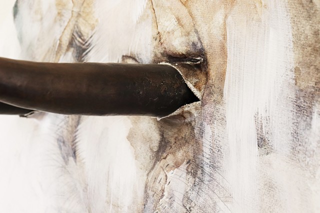 Trophy (Bulls) detail 2