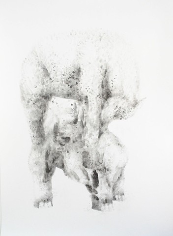 Untitled (Jumbo and Clever Hans)
