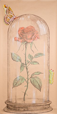 The Last Rose