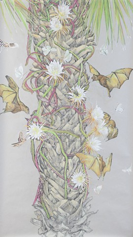 Night Blooming Cereus
