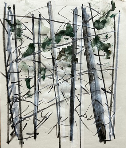 Study- trees and sticks