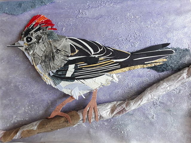 Ruby-crowned Kinglet (SOLD)