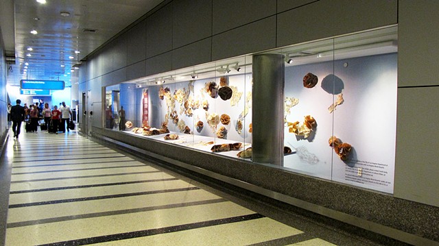 LAX installation with Leanne Lee, Tom Bradley International Terminal