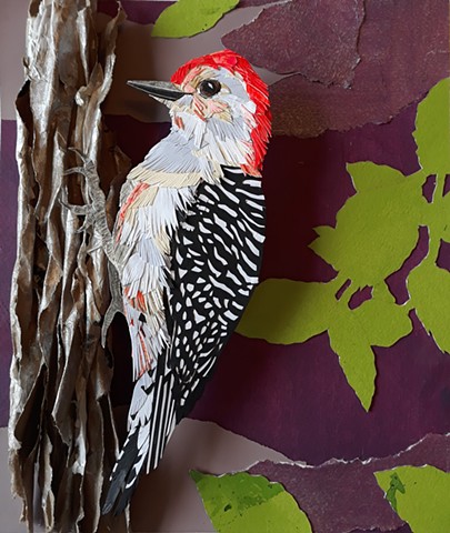 Red bellied Woodpecker (SOLD)
