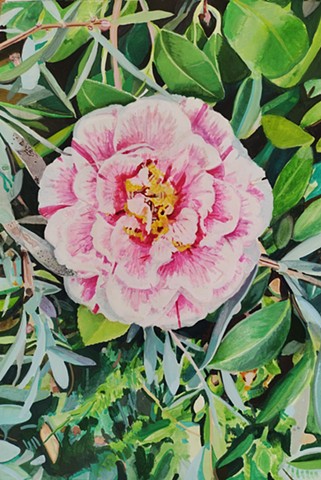 Untitled (Pink)