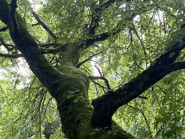 Garenne Park, Nérac, France