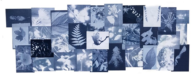 Cyanotype Mural Project: Communities in Schools, Red Springs Middle School