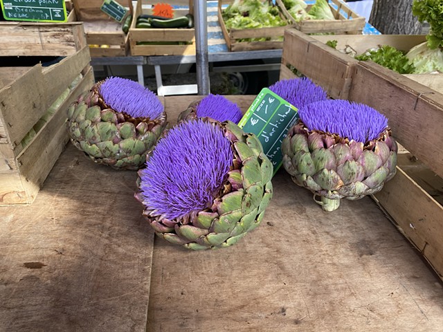 Market Day - Nérac, France