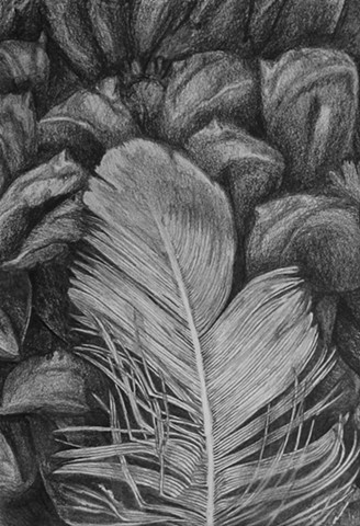 Introduction to Drawing: Simulated Texture