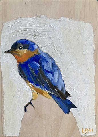 Birds, Smalls and Tinies