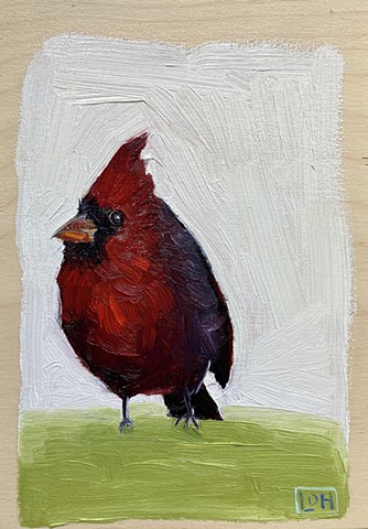 MALE CARDINAL Oil on birch ply $150.00 + HST SALE $120 + HST