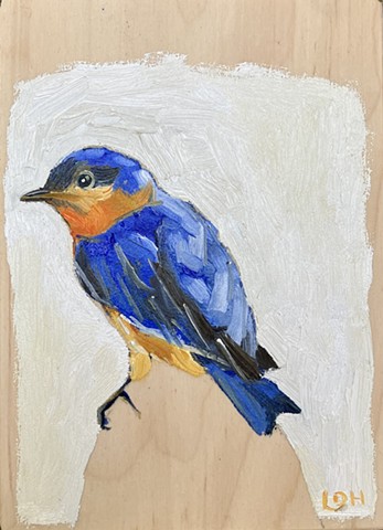 Eastern Bluebird II 5x7 Oil on birch ply $150.00 + HST SALE $120 +HST