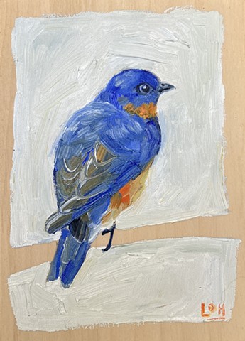Eastern Bluebird 5x7 Oil on birch ply $150.00 + HST SALE $120 + HST