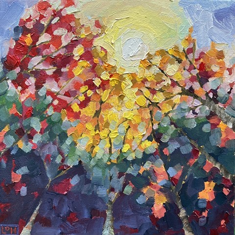 Fall shadow study / 8x8 / Oil on canvas