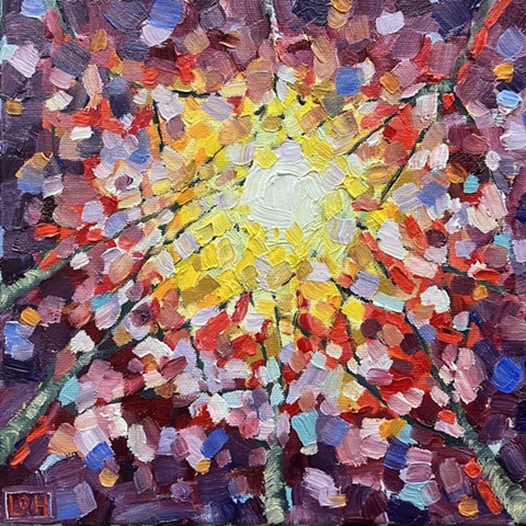 Autumn glow Study / 8x8 / Oil on canvas