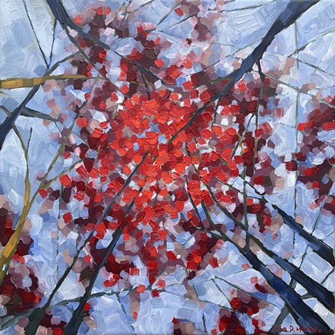 Crimson Fall, 16x16, oil on canvas, $550 + HST, SALE $440 + HST!