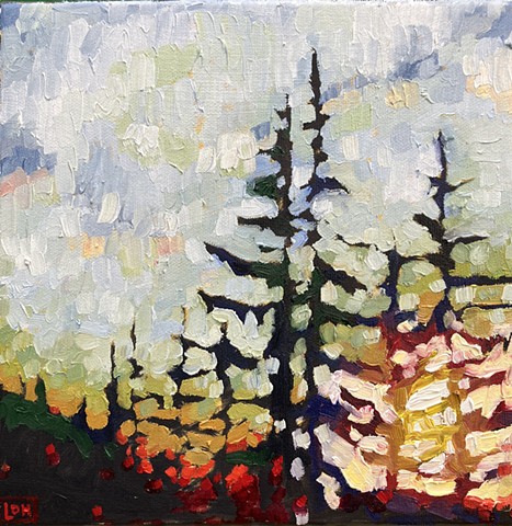 Morning in the forest, 8x8, oil on canvas, $200 GRATITUDE SALE $160 +hst