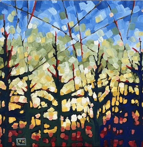 Evening Ember study 12 x 12 Oil on canvas $375 plus HST, SALE  $300+HST