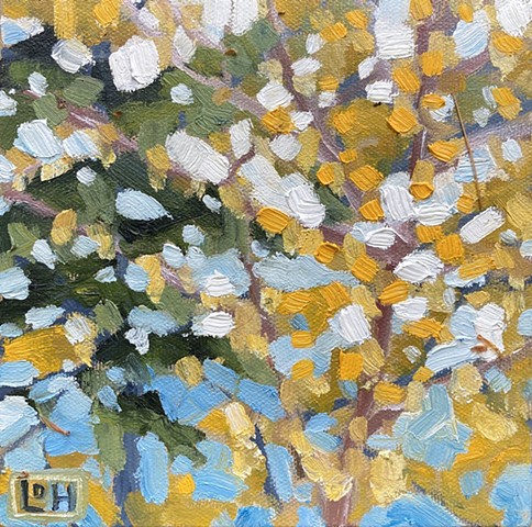 Franklin island study Oct 4, 2023 / 6x6 / Oil on canvas