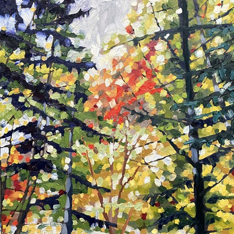 Autumn wander, 12x12, oil on canvas $375+ HST SALE $300+ HHST