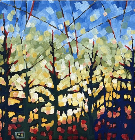 Evening Ember study / 12 x 12 / Oil on canvas