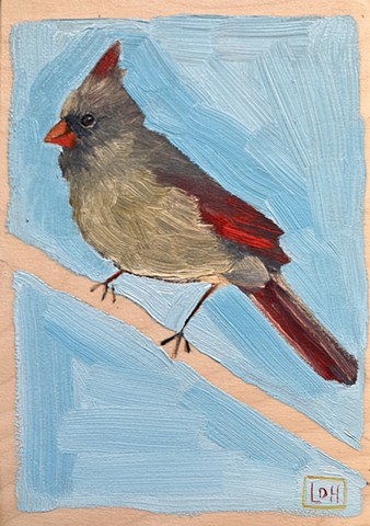 Female Cardinal / 5x7 / oil on birch ply