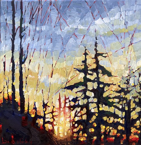 Morning Has Broken, 16x16, oil on canvas, $600 GRATITUDE SALE $480 + HST