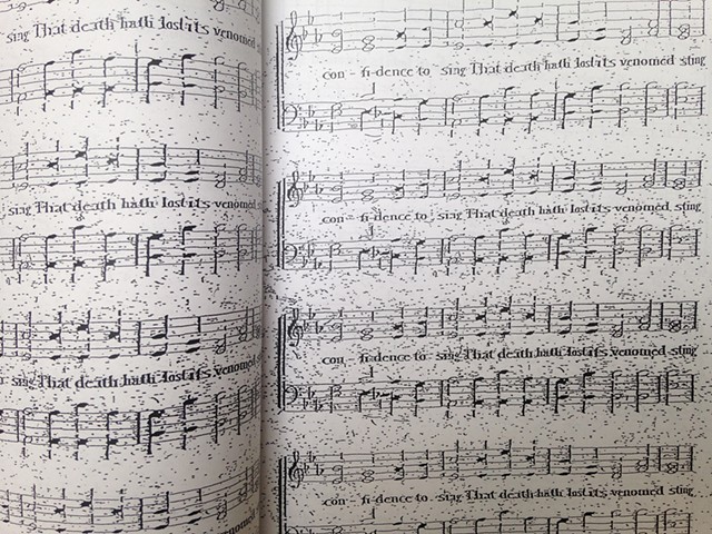Detail of Confidence to Sing