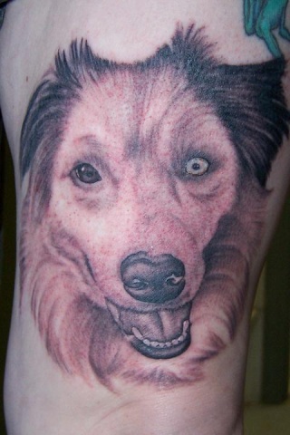 Ron Meyers - Dog Portrait on Tattoo Artist Tabari 