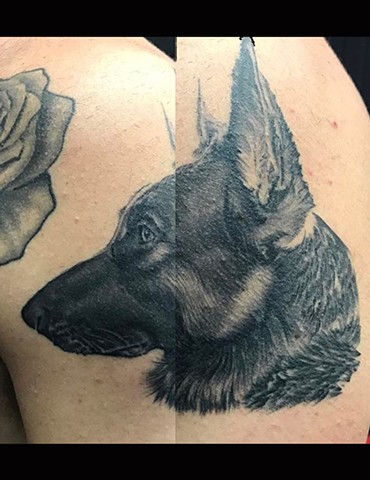 Ron Meyers - Shepard tattoo on Mark