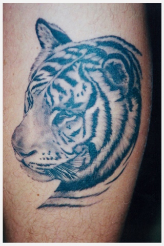 Ron Meyers - tiger