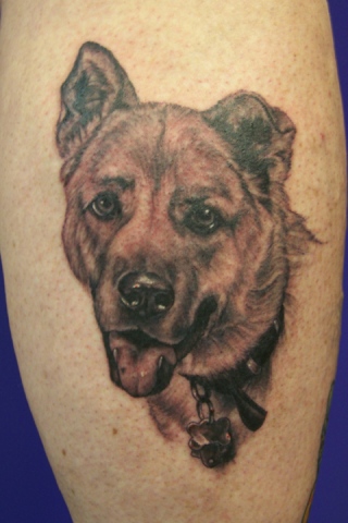Ron Meyers - Dog Portrait on Linda 