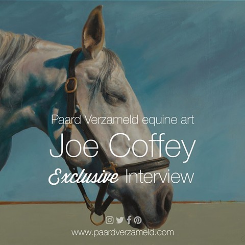 My interview with Paard Verzameld, an international platform for equine art. 
