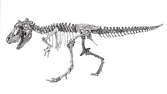 T-Rex Skeleton 