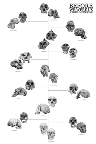 BEFORE WE WERE US | A TIMELINE IN BONE 