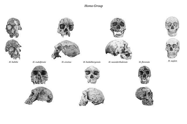 BEFORE WE WERE US | Homo Group 