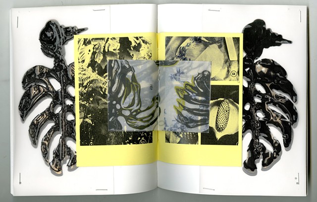 Monstera deliciosa Artist Book by Seth F